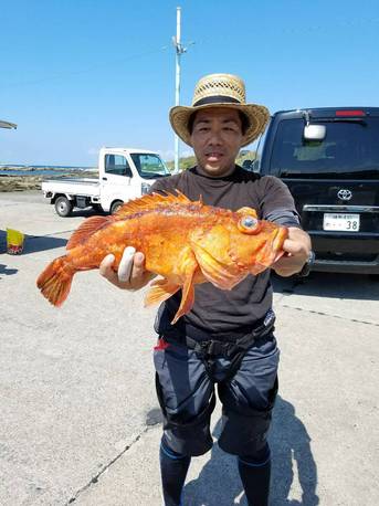 本日の釣果(9/9)